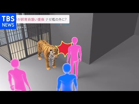 トラに噛まれ飼育員重傷 助けに入った２人もけが 栃木・那須町